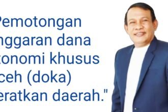 Ketua Fraksi NasDem DPRA Aceh, Nurchalis