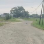 Jalan rusak 9 tahun, warga Kampung Summanna berharap adanya perbaikan ke Pemkot Makassar, (17/2/2025), Kolase: Tim canvaser Kelurahan Barombong, Arman . (HO/R35)