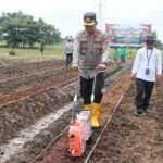 Polres Metro Tangerang Kota dukung swasembada pangan di Puskargo, Jalan Raya Pakuhaji, Kampung Pisangan Talang, Desa Sarakan, Kecamatan Sepatan, Kabupaten Tangerang, pada Kamis (6/2/2025) siang WIB. (dok. polres metro tangerang kota/gwi/ho)