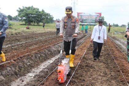 Polres Metro Tangerang Kota dukung swasembada pangan di Puskargo, Jalan Raya Pakuhaji, Kampung Pisangan Talang, Desa Sarakan, Kecamatan Sepatan, Kabupaten Tangerang, pada Kamis (6/2/2025) siang WIB. (dok. polres metro tangerang kota/gwi/ho)