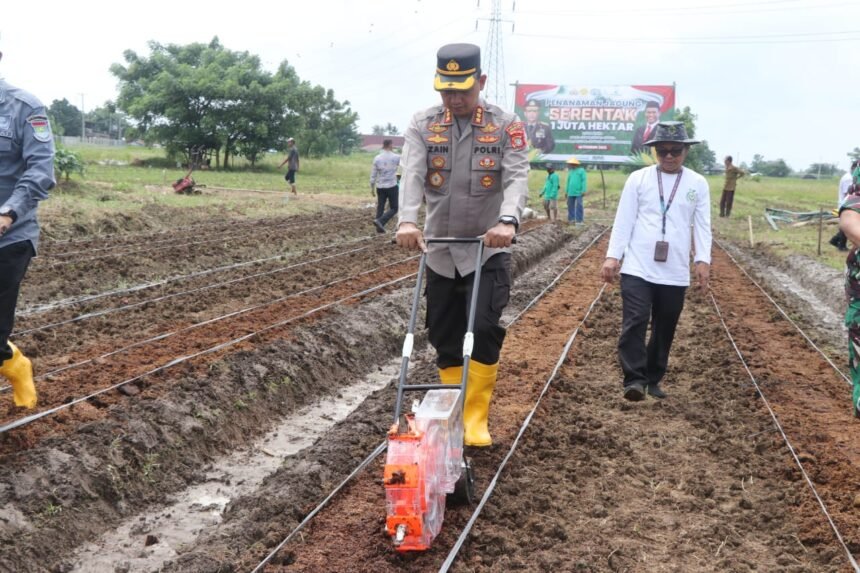 Polres Metro Tangerang Kota dukung swasembada pangan di Puskargo, Jalan Raya Pakuhaji, Kampung Pisangan Talang, Desa Sarakan, Kecamatan Sepatan, Kabupaten Tangerang, pada Kamis (6/2/2025) siang WIB. (dok. polres metro tangerang kota/gwi/ho)