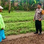 Bhabinkamtibmas Takalar ajak warga manfaatkan pekarangan, (10/2/2025).