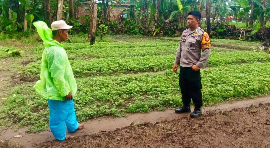 Bhabinkamtibmas Takalar ajak warga manfaatkan pekarangan, (10/2/2025).