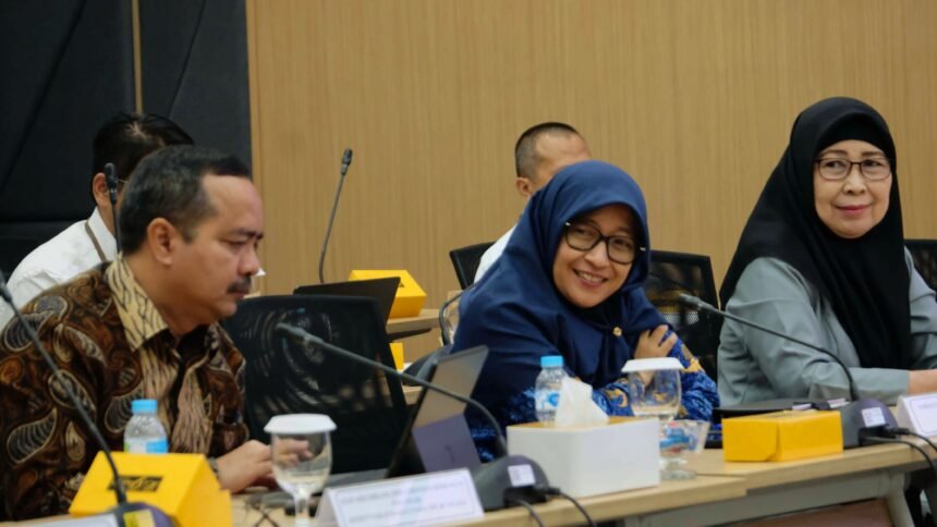 IMG 20250218 WA0871
