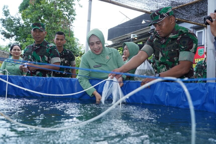 Pangdam XIV/Hasanuddin tinjau ketahanan pangan di Mamuju Kamis (20/3/2025).