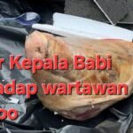 IMG 20250325 WA1053
