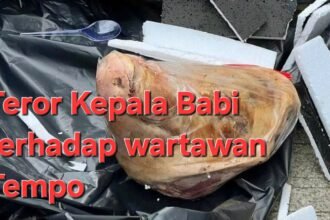 IMG 20250325 WA1053