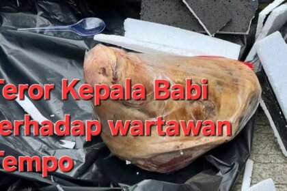 IMG 20250325 WA1053