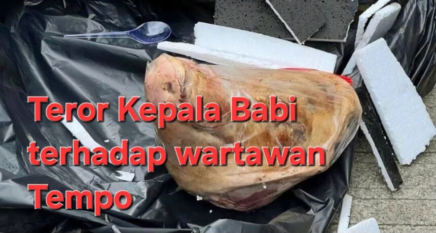 IMG 20250325 WA1053