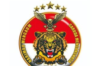 Ilustrasi Macan Asia Sulsel. (R35/HO)