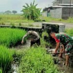 Babinsa Koramil 09/Sawit bantu petani bersihkan gulma di sawah, (26/3/2025). (ak/ho)