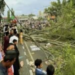 Tragedi pohon tumbang timpa jemaah saat Shalat Id di Alun-alun, Senin (31/3/2025). (@Jateng_Twit/hms-Polres Pemalang/HO)