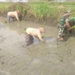 Babinsa Sragen bantu petani tanam padi. (Foto: Koramil 15/Gemolong)