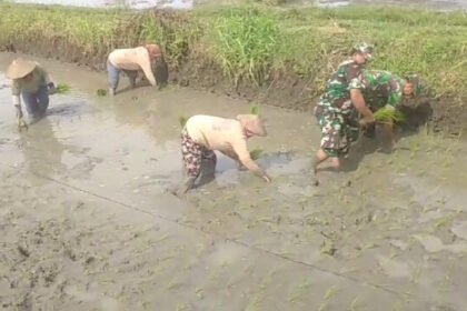 Babinsa Sragen bantu petani tanam padi. (Foto: Koramil 15/Gemolong)