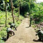 Babinsa Koramil 03/Mojosongo sedang membersihkan rumput liar di bahu jalan Desa Metuk, Kecamatan Mojosongo, Kabupaten Boyolali, (3/4/2025).