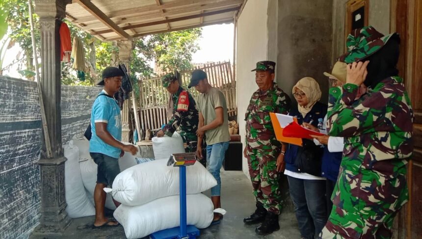 TNI dampingi Bulog serap gabah petani di Boyolali, (9/4/2025).