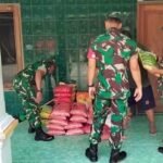 Babinsa dukung petani hadapi musim tanam, (11/4/2025).