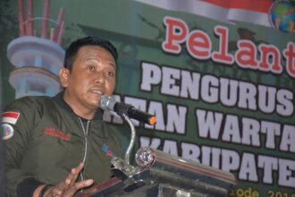 Ketua IWO Sulsel, Zulkifli Thahir.