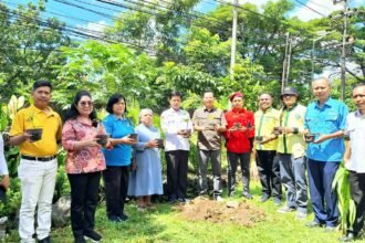 Kegiatan pertobatan ekologis lewat penanaman sejuta pohon matoa di lingkungan Wisma Baruga Kare, Paroki Maria Ratu Rosari Kare, Kota Makassar, Selasa (22/4/2025), bertepatan dengan peringatan Hari Bumi.