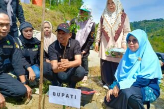 Bupati Enrekang tanam bibit di Buttu Macca, April 2025.