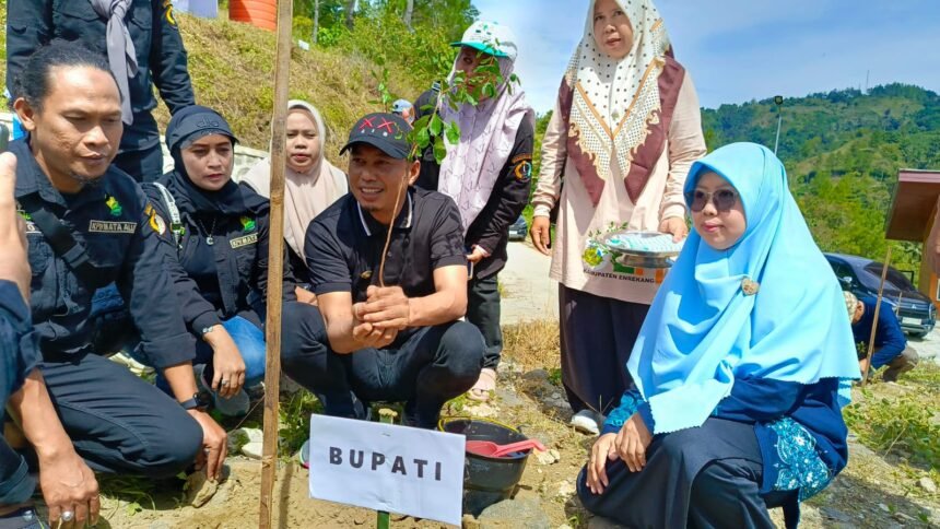 Bupati Enrekang tanam bibit di Buttu Macca, April 2025.