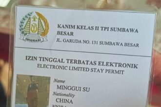 Electronic limited stay permit.
