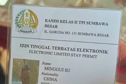 Electronic limited stay permit.