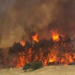 Kebakaran besar landa wilayah Palestina yang diduduki, (29/4/2025). (channel14/qudsn/ho)
