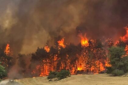 Kebakaran besar landa wilayah Palestina yang diduduki, (29/4/2025). (channel14/qudsn/ho)
