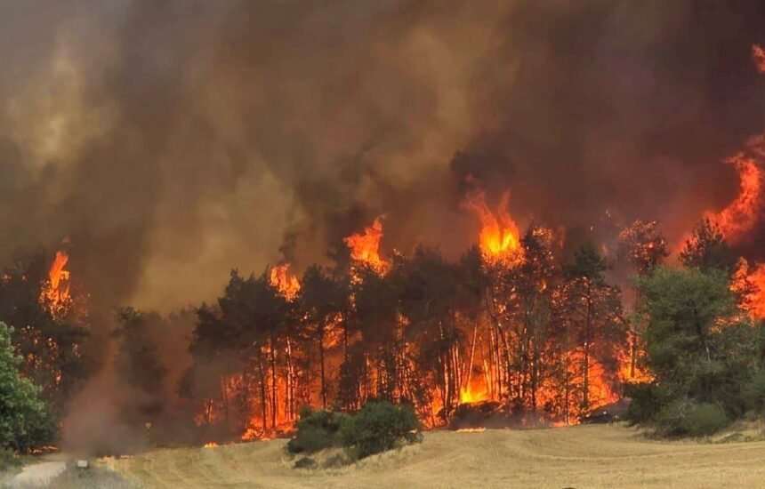 Kebakaran besar landa wilayah Palestina yang diduduki, (29/4/2025). (channel14/qudsn/ho)