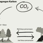 Perdagangan karbon Indonesia sentuh Rp77,91 triliun hingga April 2025. (idxcarbon/forestdigest/ho/mp)