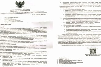 Ilustrasi temuan BPK soal keuangan Aceh Timur. 