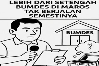 Ilustrasi evaluasi Inspektorat Kabupaten Maros terkait Badan Usaha Milik Desa atau Bumdes.