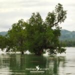 Suasana di pesisir Limbua, Bonto Tiro Kabupaten Bulukumba, Mei 2025. (Dok. MediaPesan)