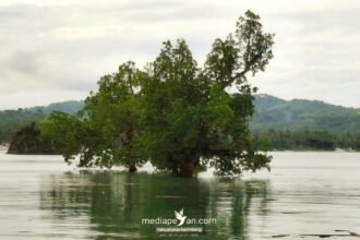 Suasana di pesisir Limbua, Bonto Tiro Kabupaten Bulukumba, Mei 2025. (Dok. MediaPesan)