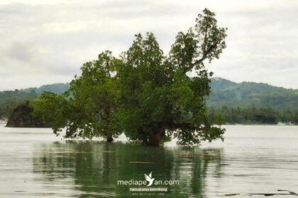 Suasana di pesisir Limbua, Bonto Tiro Kabupaten Bulukumba, Mei 2025. (Dok. MediaPesan)