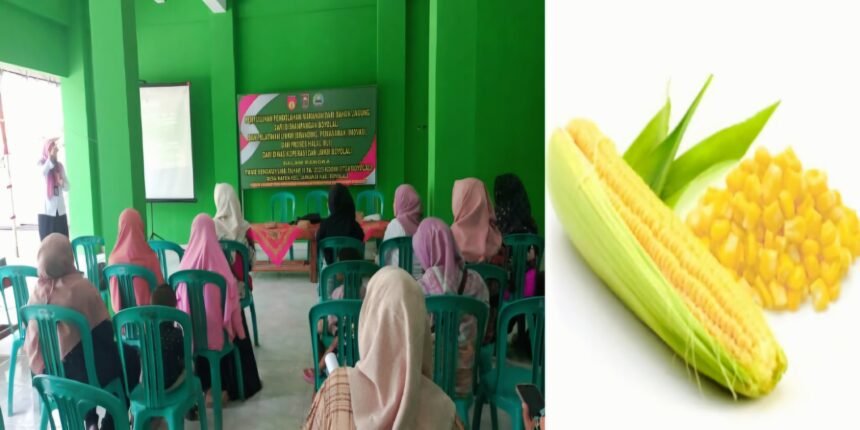 Inovasi jagung di Boyolali, Mei 2025.