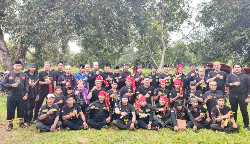 Lembaga Monta Bassi Celebes (LMBC) Sulawesi Selatan