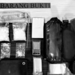 IMG 20250517 WA1188