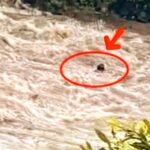 Seorang wanita berusia 20 tahun dilaporkan hilang setelah terseret arus sungai di sekitar Goa Panikia, Dusun Pattenea, Desa Bonto Matinggi, Kecamatan Tompobulu, Kabupaten Maros, (12/5/2025). (ss/@ancu_andalancu/ho)