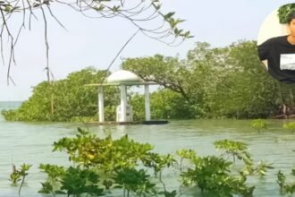 Situs Lapandoso di Dusun Muladimeng, Desa Pabbaresseng, Kecamatan Bua, Kabupaten Luwu.