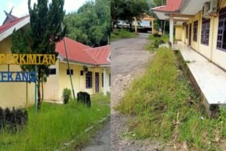 Kondisi kantor dua dinas di Enrekang memprihatinkan, (9/6/2025). (indra jy/mp)