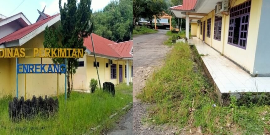 Kondisi kantor dua dinas di Enrekang memprihatinkan, (9/6/2025). (indra jy/mp)