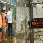 Lapas Salemba budidaya ayam kampung demi ketahanan pangan, Juni 2025.