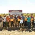 Kapolres Bulukumba hadiri panen jagung serentak di Dusun Bonto Bulaeng, Desa Padang, Kecamatan Gantarang, Kabupaten Bulukumba, (5/6/2025).