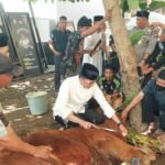 Pemotongan hewan kurban secara massal yang dipimpin langsung oleh Kapolres Gowa, AKBP Muhammad Aldy Sulaiman, (6/6/2025).