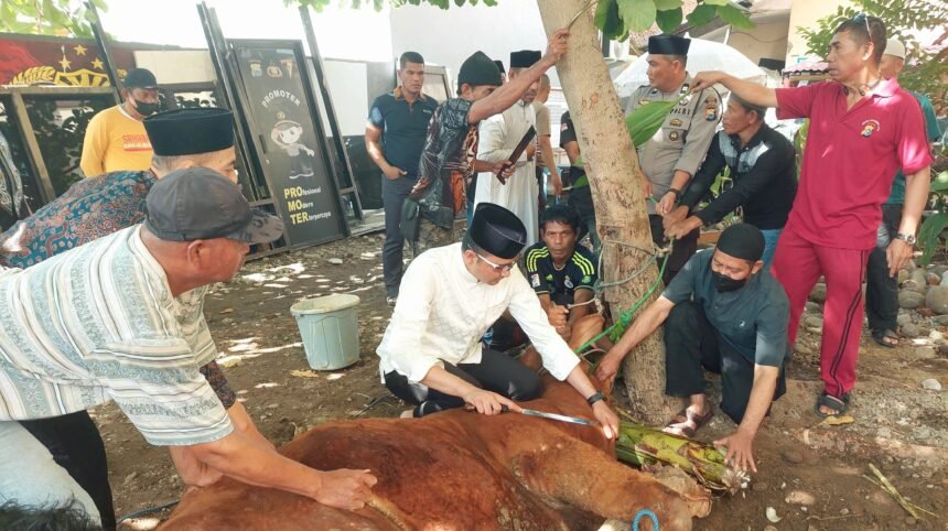 Pemotongan hewan kurban secara massal yang dipimpin langsung oleh Kapolres Gowa, AKBP Muhammad Aldy Sulaiman, (6/6/2025).