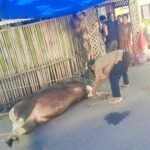Keluarga di Makassar peringati Idul Adha dengan qurban untuk orang tua yang telah wafat, (6/6/2025).