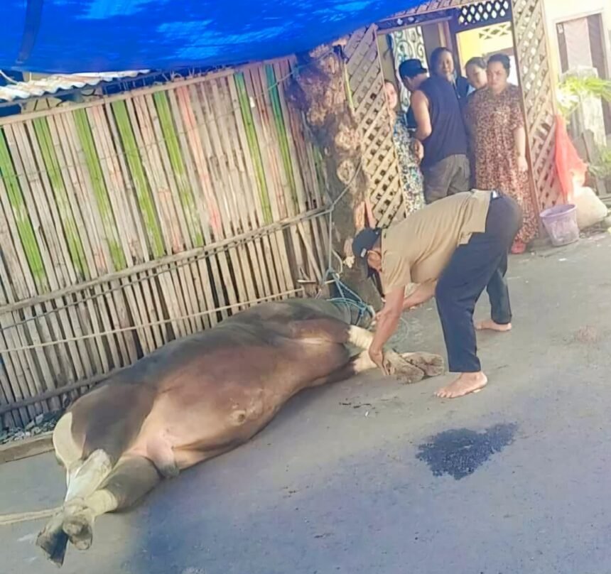 Keluarga di Makassar peringati Idul Adha dengan qurban untuk orang tua yang telah wafat, (6/6/2025).