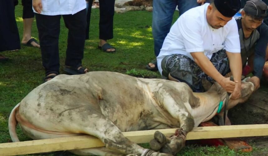 Rutan Medan peringati Idul Adha dengan sembilan ekor hewan kurban, (6/6/2025).